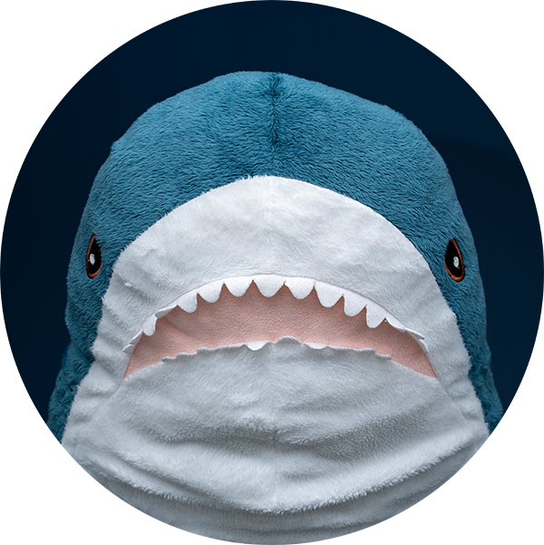 2024_Fachshark